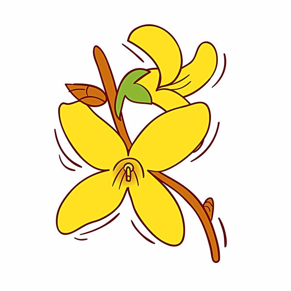 连翘花泡水喝的功效与作用