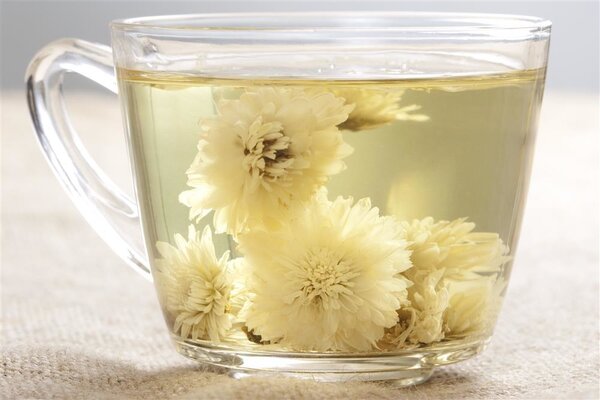 菊花可以和枸杞一起泡水喝吗