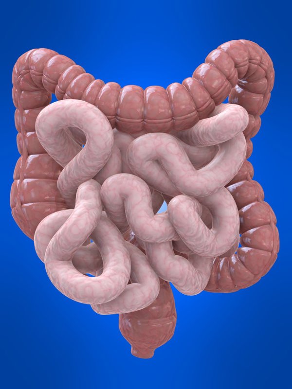 随便果泡水喝的功效