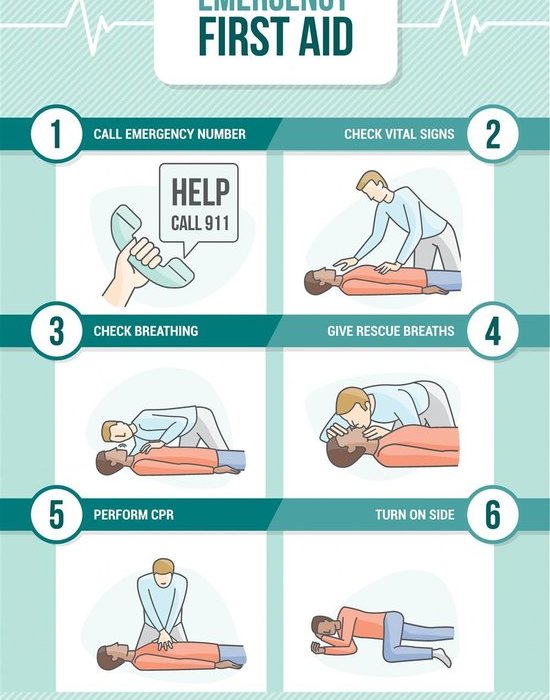 秋季教你选好七大菇