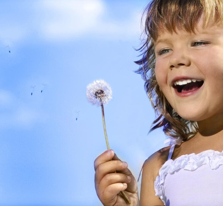 蒲公英泡水,到底用叶子还是根?中医给出回答,受教了