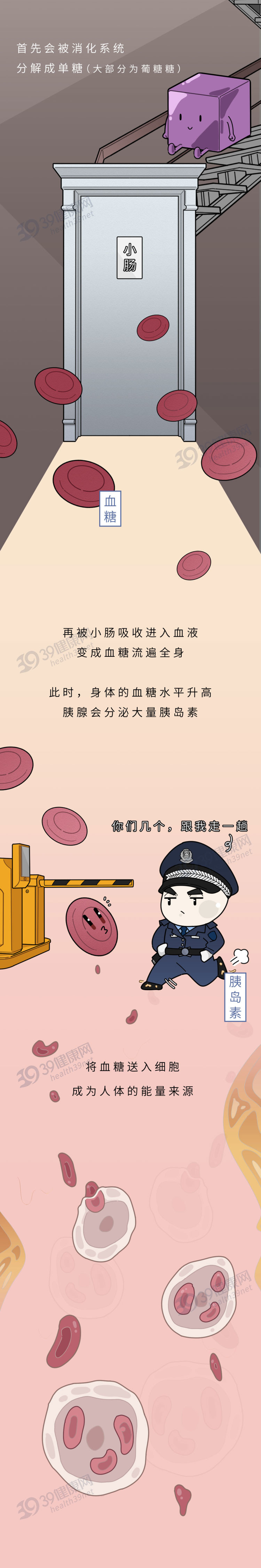 脂肪肝不可怕，日常饮食可逆转！医生：多吃这些食物，效果看得见