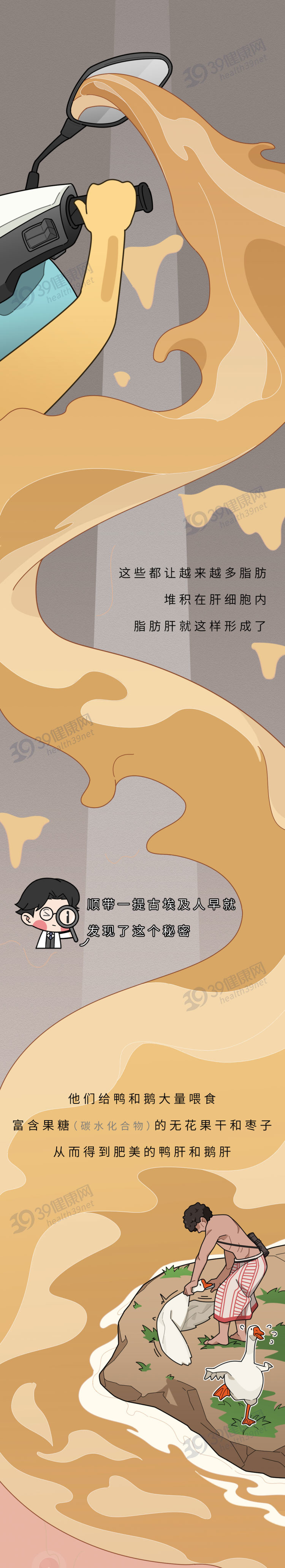 脂肪肝不可怕，日常饮食可逆转！医生：多吃这些食物，效果看得见