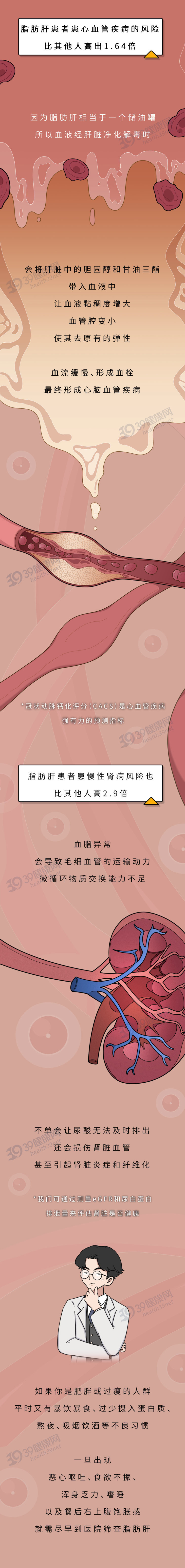 脂肪肝不可怕，日常饮食可逆转！医生：多吃这些食物，效果看得见