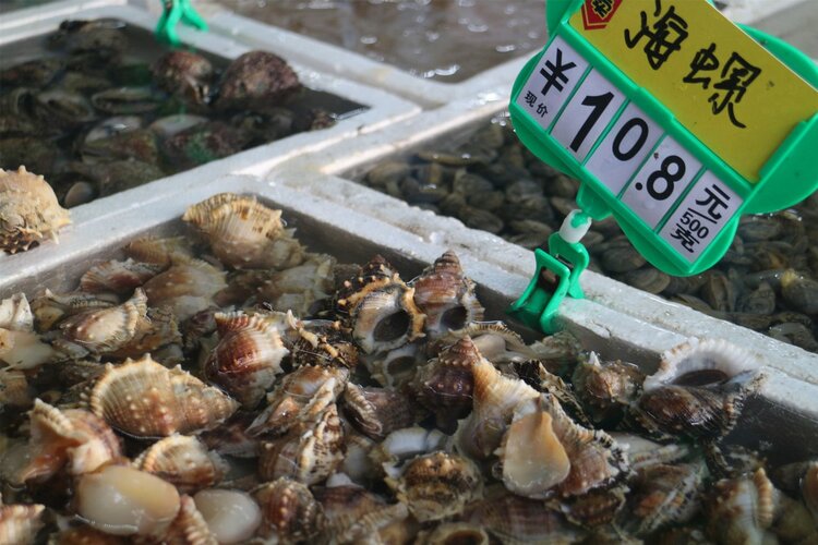 癌症患者不能吃发物？海鲜属于发物吗？吃了会加重病情吗？