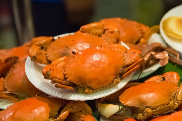 癌症患者能吃发物吗?医生:医生口中的发物,指的是这3类食物