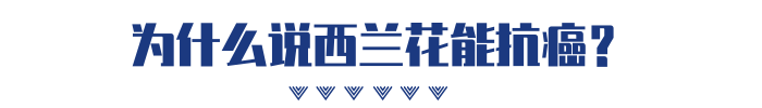 每天吃一颗西兰花，能防癌抗癌吗？今天来辟谣！