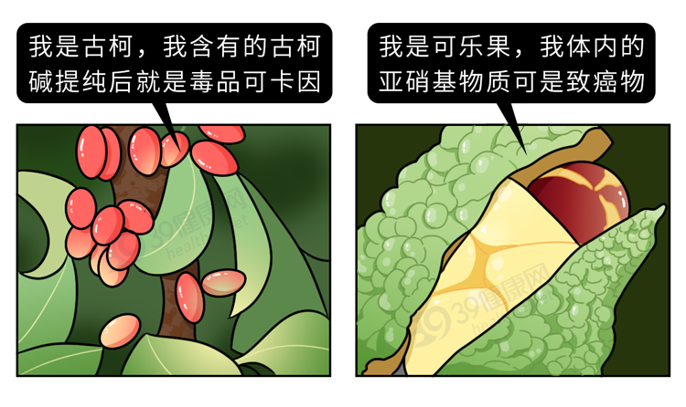 喝可乐不仅杀精，还会导致骨质疏松、腐蚀肠胃？是时候知道真相了