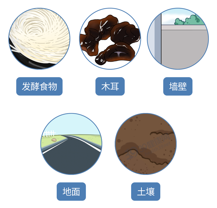 为了家人的安全，6种食物一定要没有毒再吃，别等去医院后悔