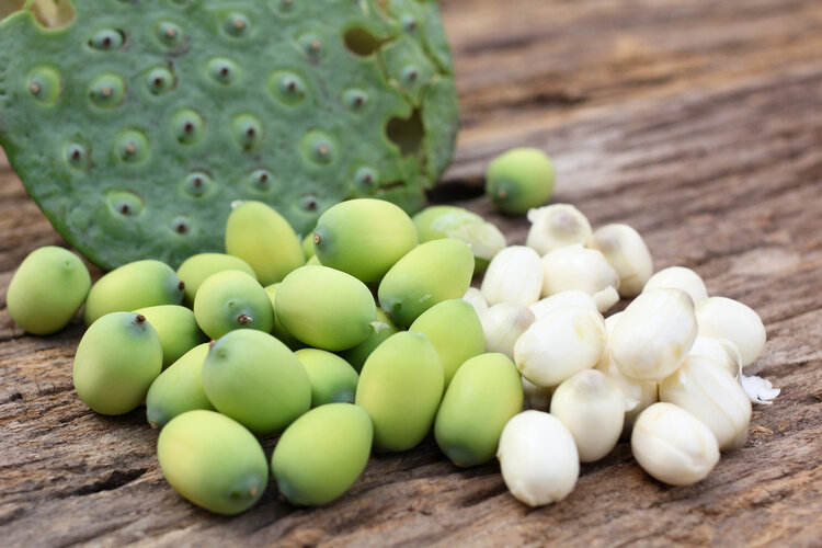 发芽的土豆有毒，那发芽的花生、大蒜、姜呢？别让无知害了自己