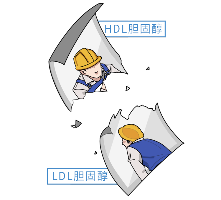 蛋黄是高胆固醇食物，吃的时候要扔掉？无知的你被“骗”了很久