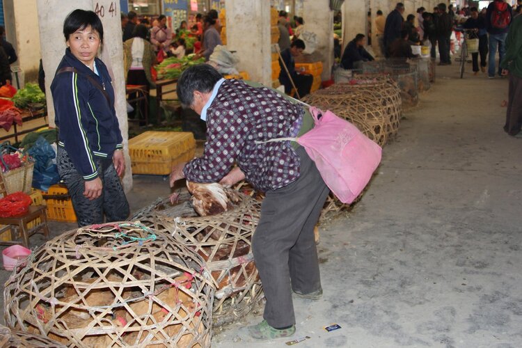 不要吃！公布：33批次食品抽检不合格，长期摄入或致畸致癌