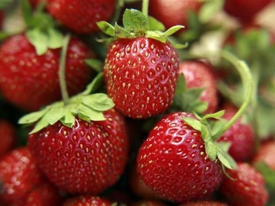 上午十点吃水果营养更易吸收