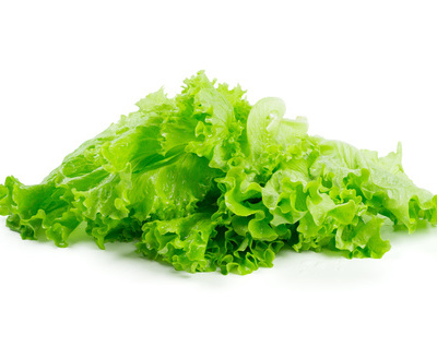 天天营养 不要缺少蔬菜