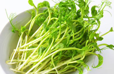 多吃芹菜可防治高血压疾病