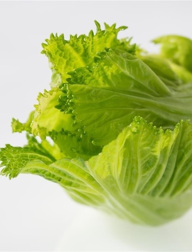 豆芽菜花芹菜等蔬菜也能防寒