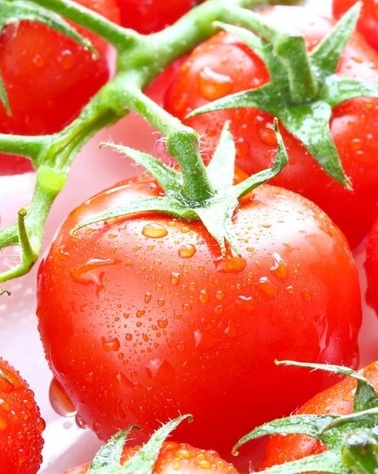 识别催熟西红柿 长期食用有害