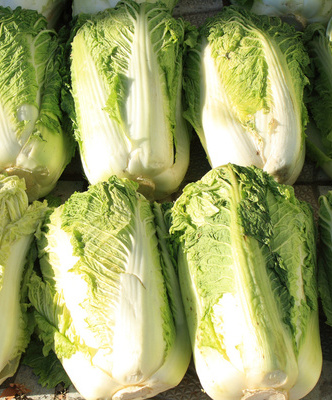 多吃“组合菜”白领一族可保营养均衡