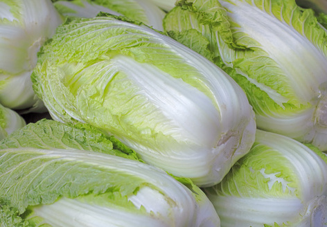 补VC助消脂 减肥就吃生菜