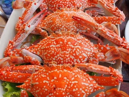 必读！冬季吃羊肉的6大注意事项