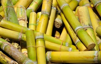 新奇！炒干豆腐渣当茶喝