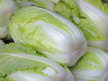 从头到脚 10种食物呵护女人