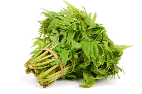 美味香椿，怎样吃才安全？