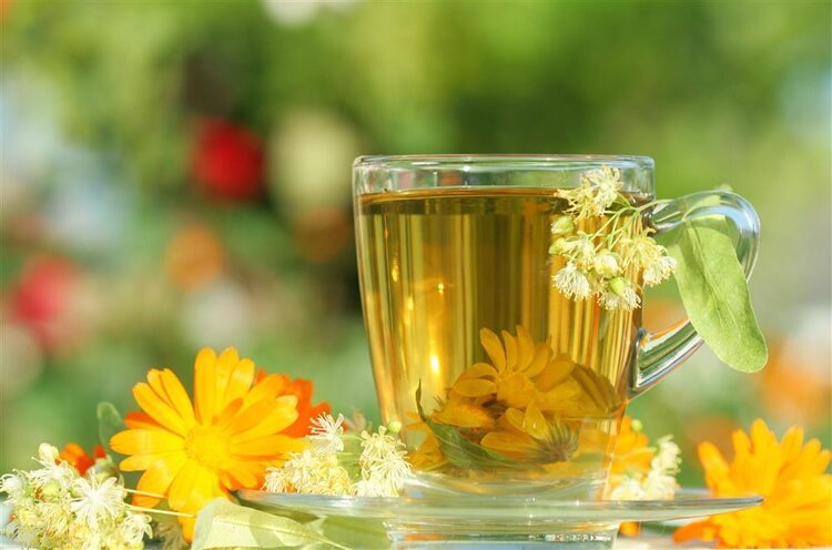 中医：拿一把菊花泡茶，2个好处会找上你，实在