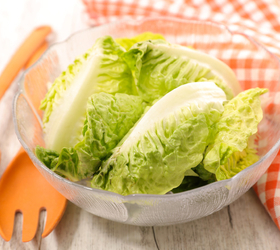 第19期:素食真的能减肥吗?