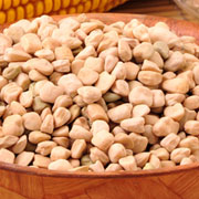 马牙大豆